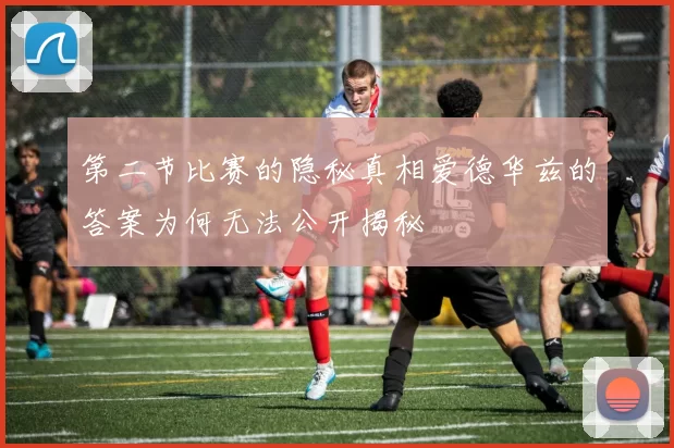 第二节比赛的隐秘真相爱德华兹的答案为何无法公开揭秘