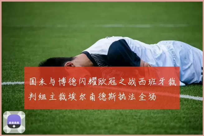 国米与博德闪耀欧冠之战西班牙裁判组主裁埃尔南德斯执法全场